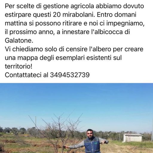 Donazione alberi 