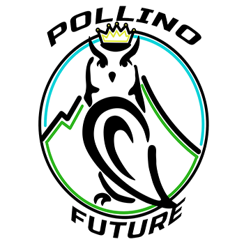 Logo Pollino Future