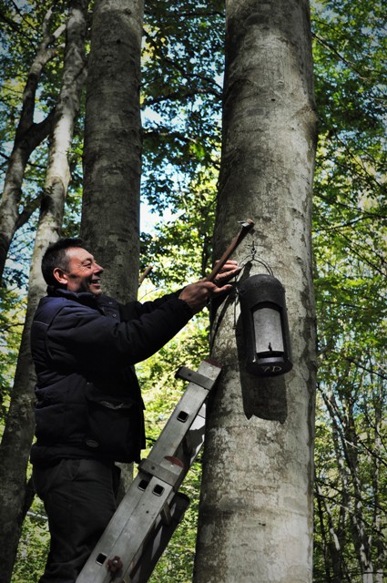 Installazione bat box