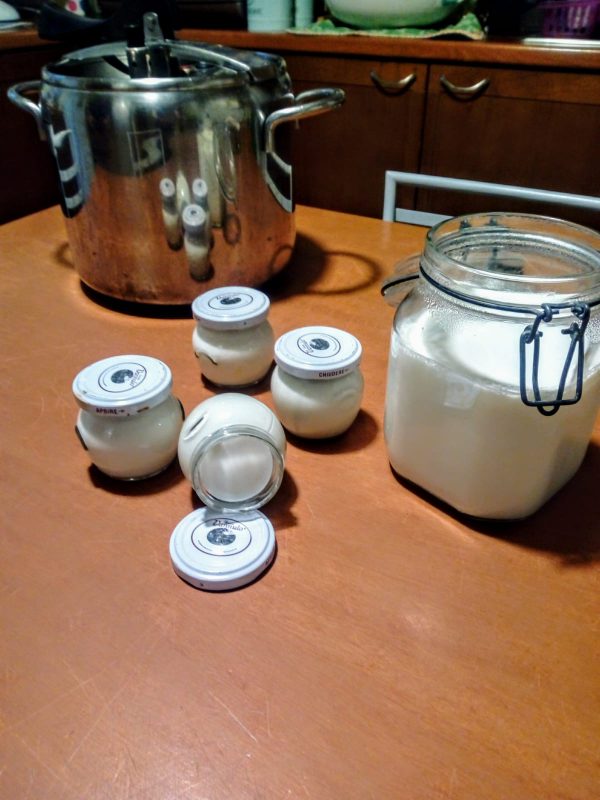 Auto-produzione … e se imparassimo a fare lo yogurt in casa? - Villa  Fernandes